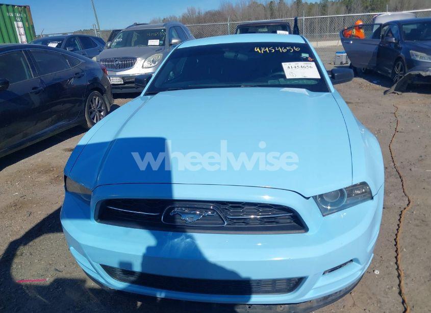 Photo 12 of 2013 Ford Mustang V6 (VIN 1ZVBP8AM4D5265627)
