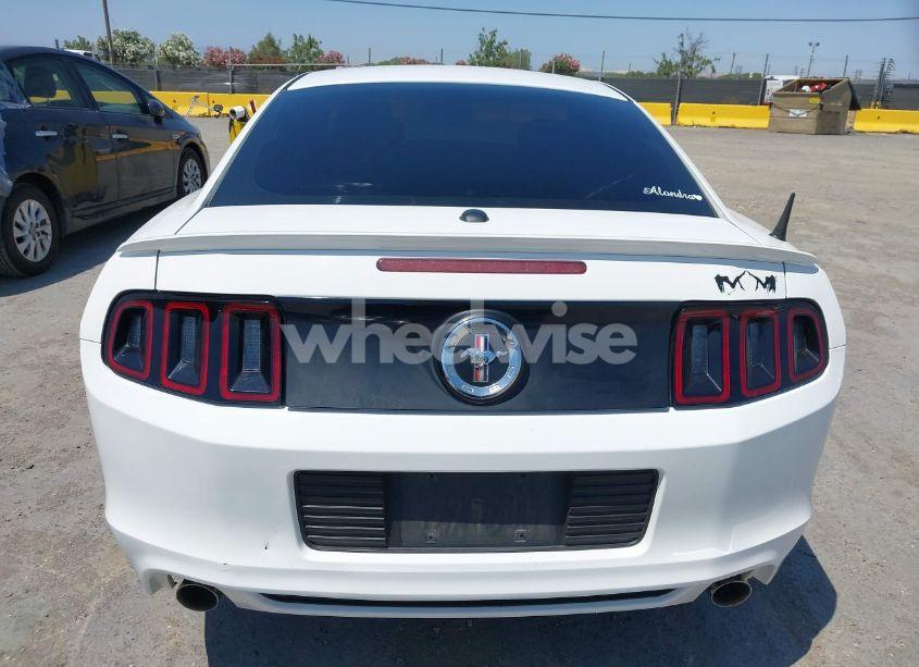 Photo 16 of 2013 Ford Mustang V6 PREMIUM (VIN 1ZVBP8AM4D5271864)