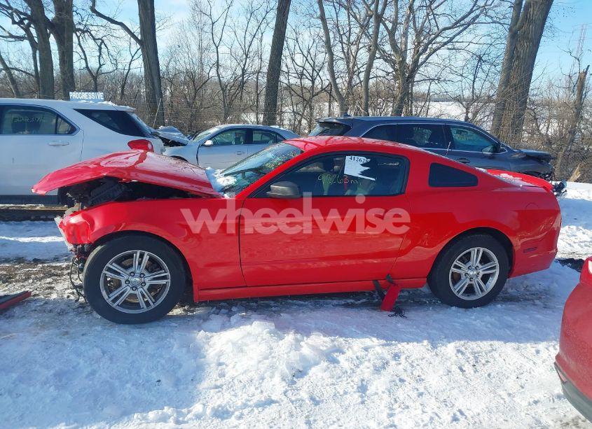 Photo 15 of 2014 Ford Mustang V6 (VIN 1ZVBP8AM4E5245010)