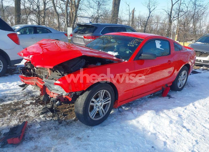 Photo 2 of 2014 Ford Mustang V6 (VIN 1ZVBP8AM4E5245010)