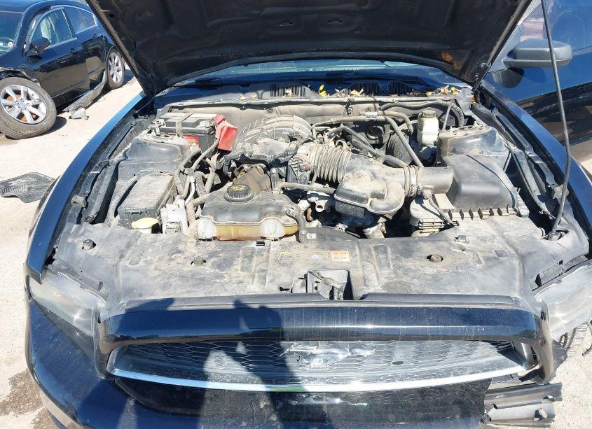 Photo 10 of 2014 Ford Mustang V6 (VIN 1ZVBP8AM4E5249784)