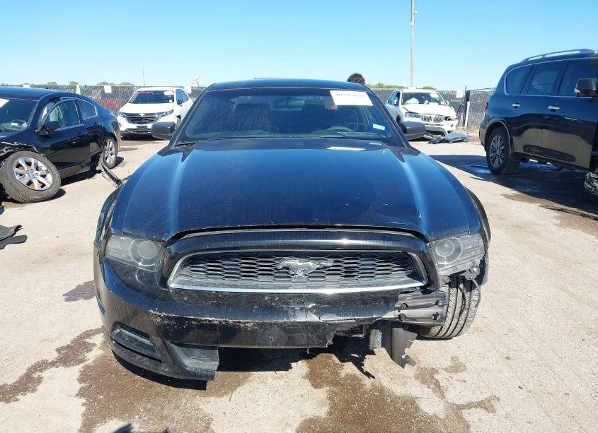 Photo 12 of 2014 Ford Mustang V6 (VIN 1ZVBP8AM4E5249784)