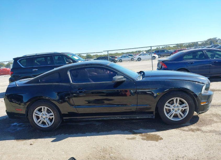 Photo 13 of 2014 Ford Mustang V6 (VIN 1ZVBP8AM4E5249784)