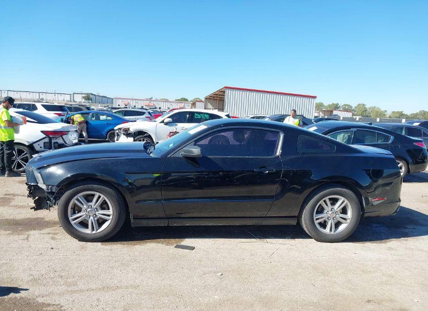 Photo 14 of 2014 Ford Mustang V6 (VIN 1ZVBP8AM4E5249784)