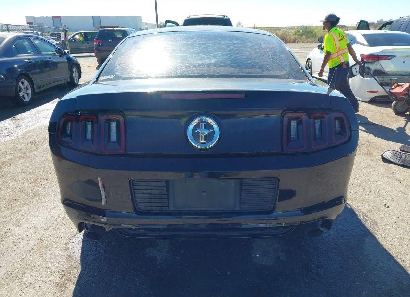Photo 16 of 2014 Ford Mustang V6 (VIN 1ZVBP8AM4E5249784)