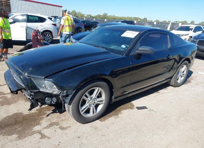 Photo 2 of 2014 Ford Mustang V6 (VIN 1ZVBP8AM4E5249784)
