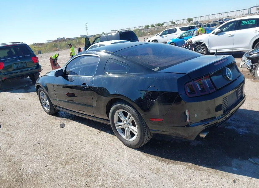 Photo 3 of 2014 Ford Mustang V6 (VIN 1ZVBP8AM4E5249784)