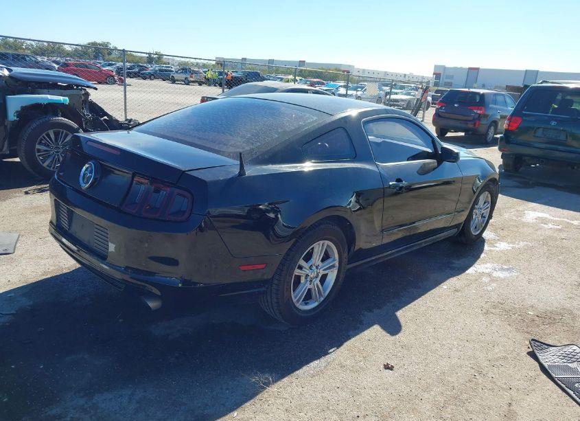 Photo 4 of 2014 Ford Mustang V6 (VIN 1ZVBP8AM4E5249784)