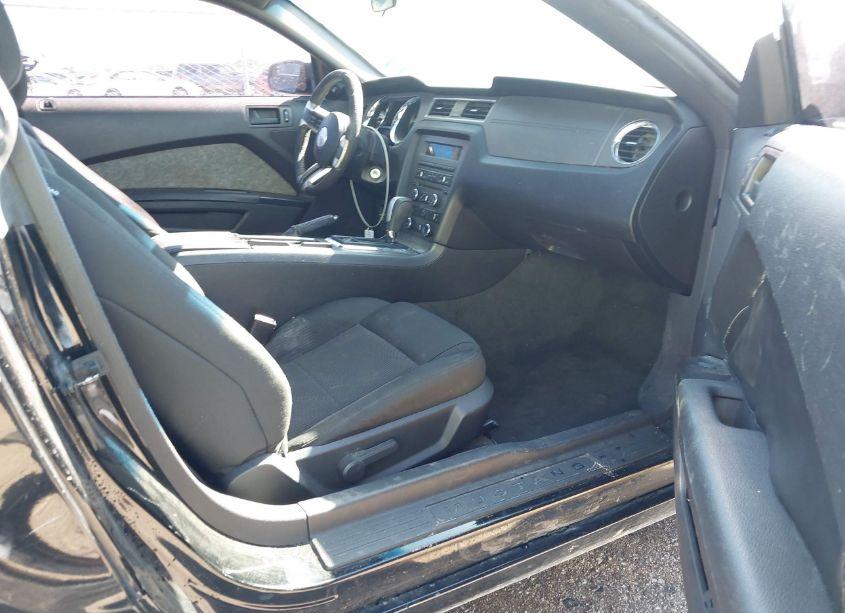 Photo 5 of 2014 Ford Mustang V6 (VIN 1ZVBP8AM4E5249784)