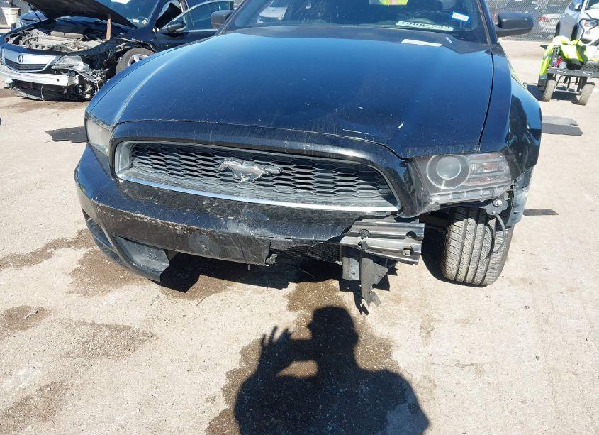 Photo 6 of 2014 Ford Mustang V6 (VIN 1ZVBP8AM4E5249784)