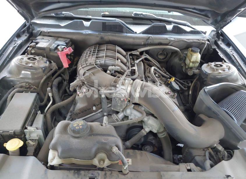 Photo 10 of 2014 Ford Mustang V6 (VIN 1ZVBP8AM4E5252863)