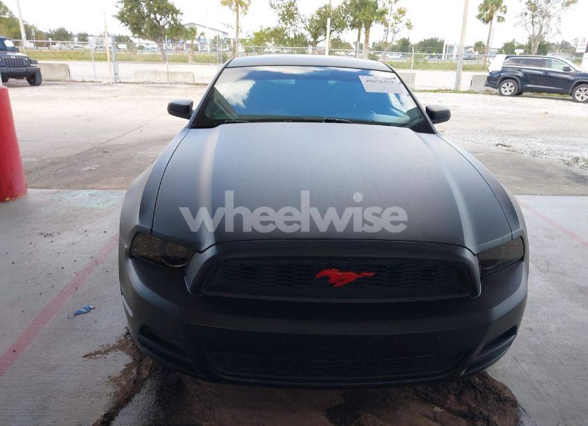 Photo 11 of 2014 Ford Mustang V6 (VIN 1ZVBP8AM4E5252863)