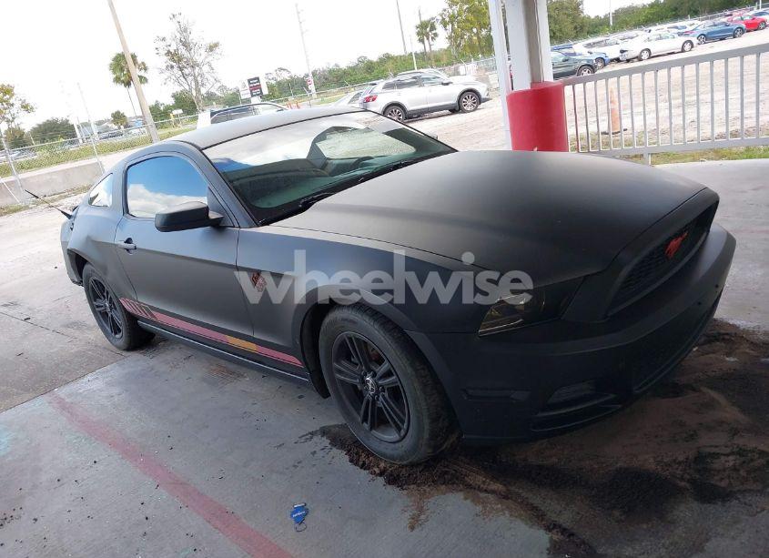 Photo 12 of 2014 Ford Mustang V6 (VIN 1ZVBP8AM4E5252863)