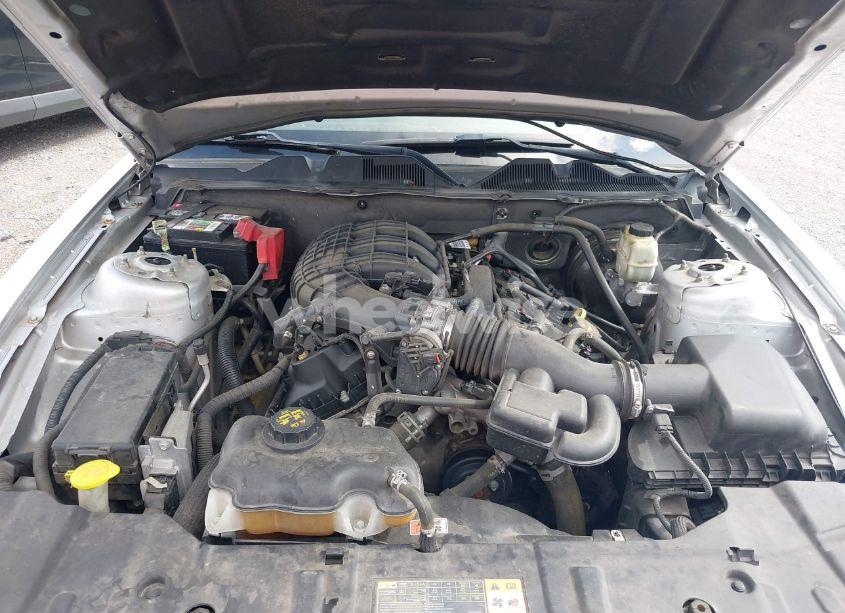 Photo 10 of 2014 Ford Mustang V6 PREMIUM (VIN 1ZVBP8AM4E5265015)