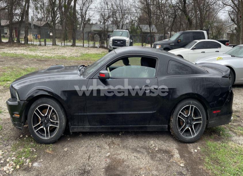 Photo 11 of 2014 Ford Mustang V6 (VIN 1ZVBP8AM4E5268562)