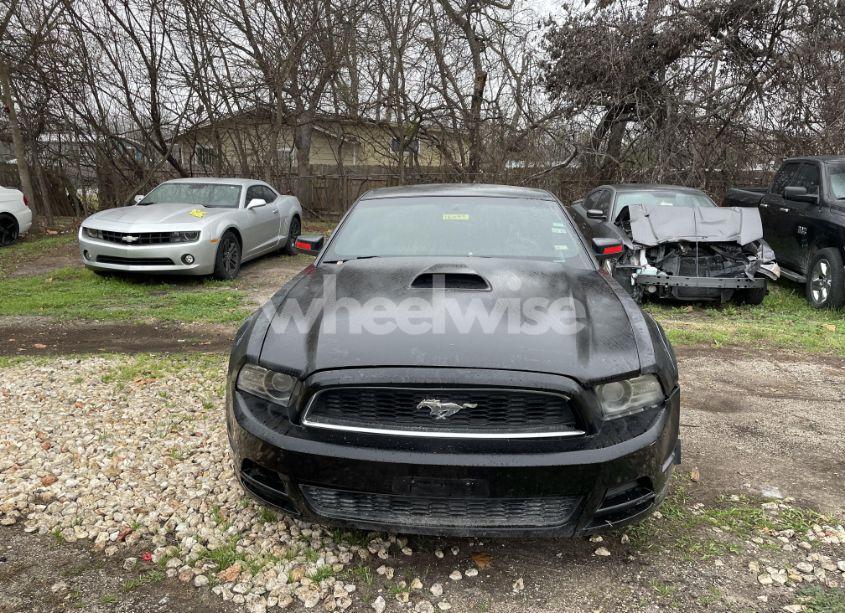 Photo 13 of 2014 Ford Mustang V6 (VIN 1ZVBP8AM4E5268562)