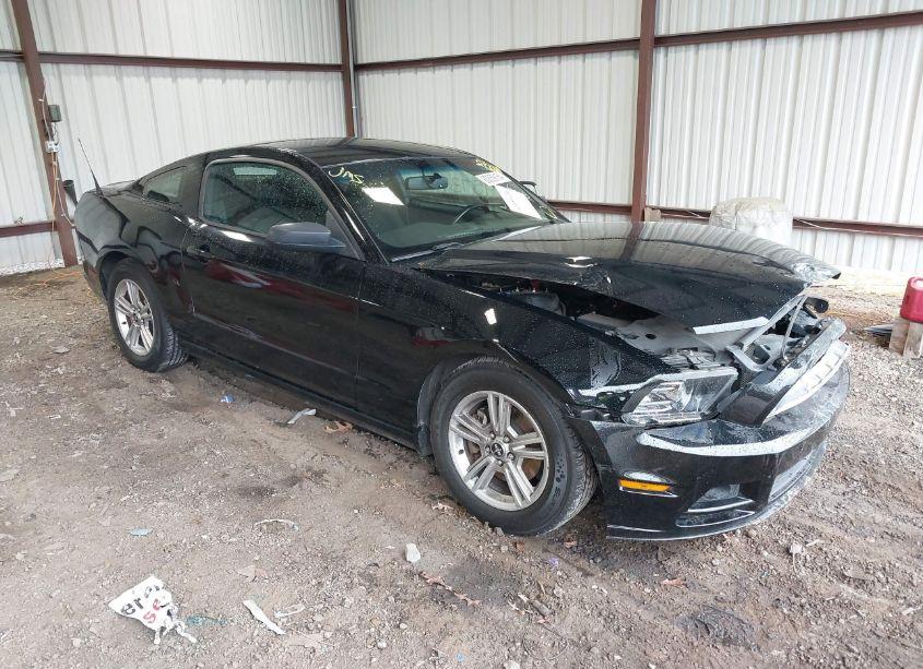 2014 Ford Mustang V6 (VIN 1ZVBP8AM4E5282381) main photo