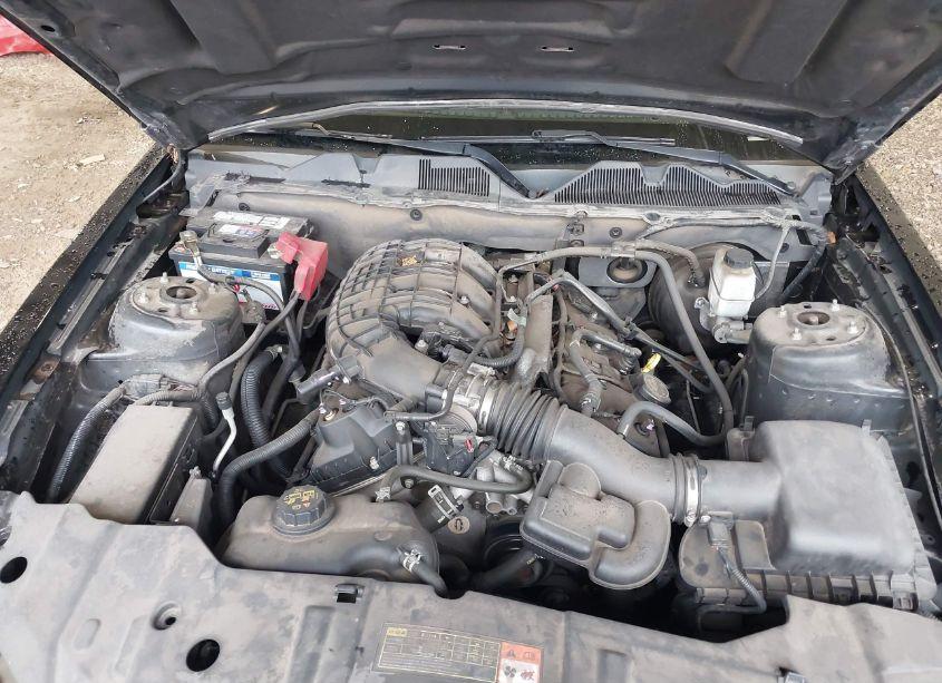 Photo 10 of 2014 Ford Mustang V6 (VIN 1ZVBP8AM4E5282381)