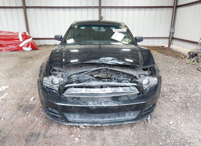 Photo 12 of 2014 Ford Mustang V6 (VIN 1ZVBP8AM4E5282381)