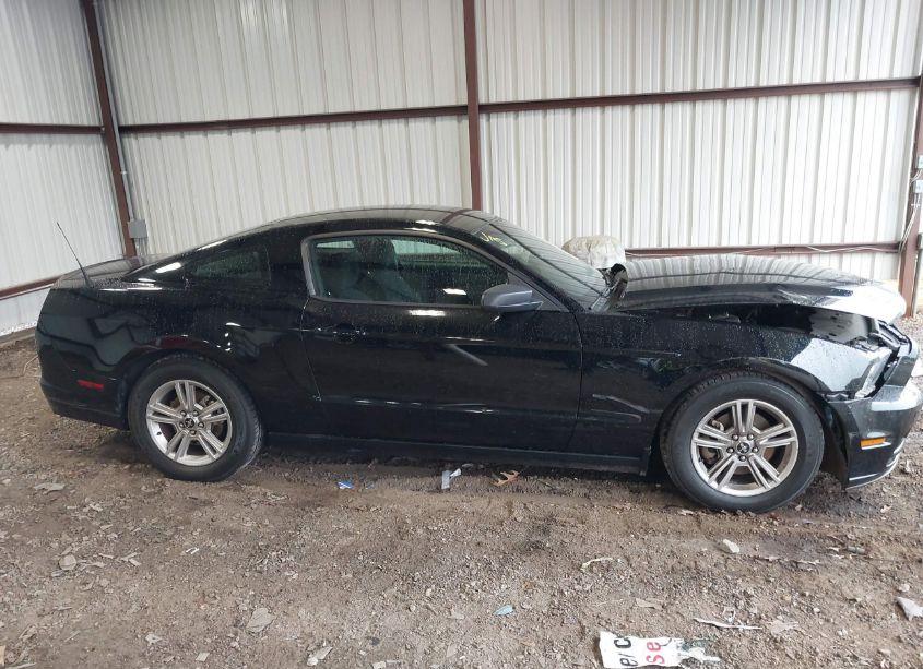 Photo 13 of 2014 Ford Mustang V6 (VIN 1ZVBP8AM4E5282381)