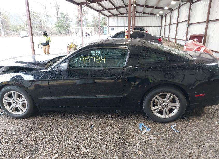 Photo 14 of 2014 Ford Mustang V6 (VIN 1ZVBP8AM4E5282381)