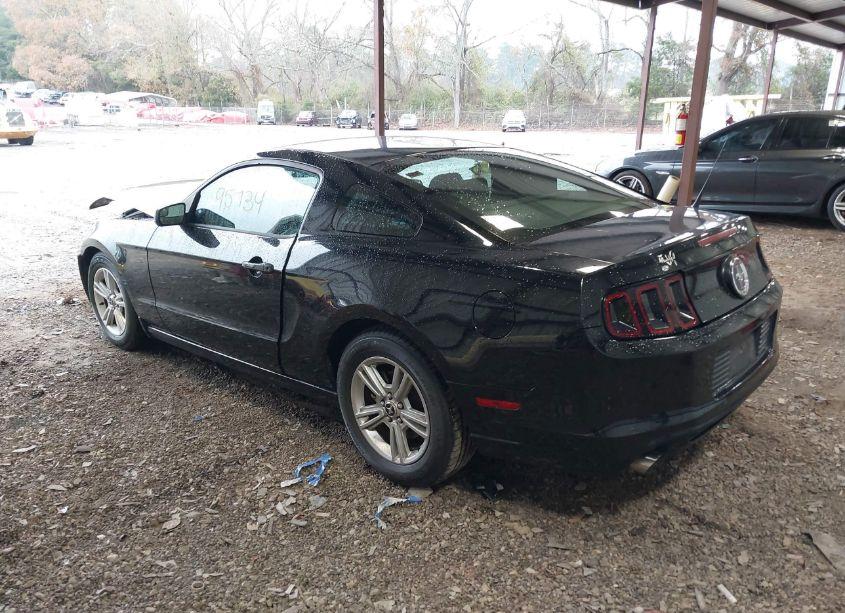 Photo 3 of 2014 Ford Mustang V6 (VIN 1ZVBP8AM4E5282381)