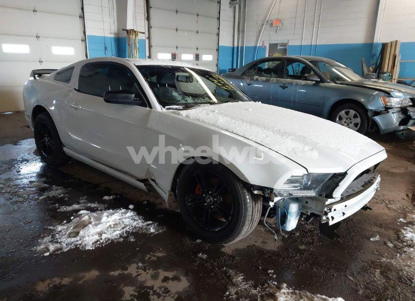2014 Ford Mustang V6 (VIN 1ZVBP8AM4E5290724) main photo