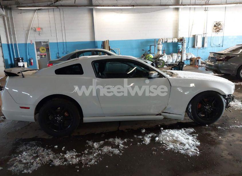 Photo 14 of 2014 Ford Mustang V6 (VIN 1ZVBP8AM4E5290724)