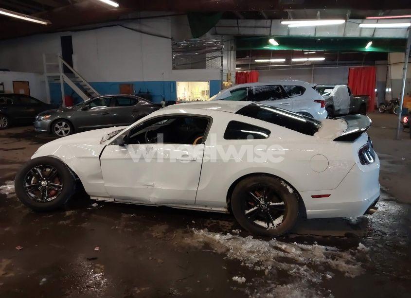 Photo 15 of 2014 Ford Mustang V6 (VIN 1ZVBP8AM4E5290724)