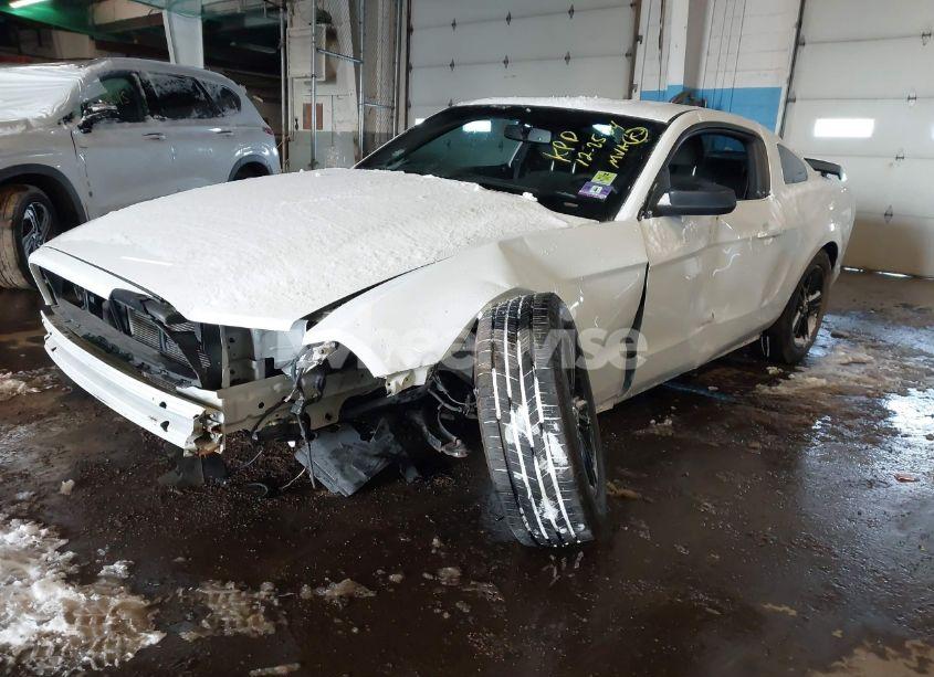 Photo 2 of 2014 Ford Mustang V6 (VIN 1ZVBP8AM4E5290724)