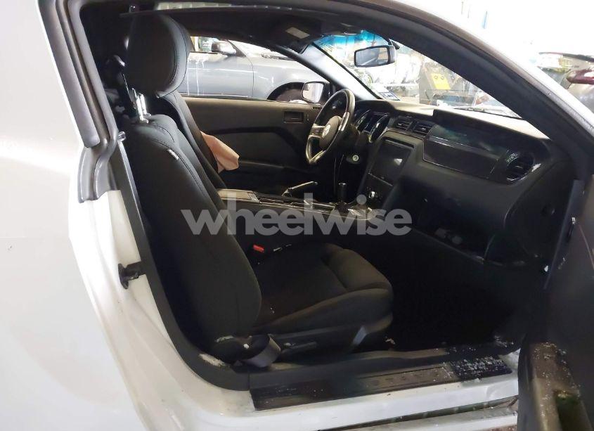 Photo 5 of 2014 Ford Mustang V6 (VIN 1ZVBP8AM4E5290724)