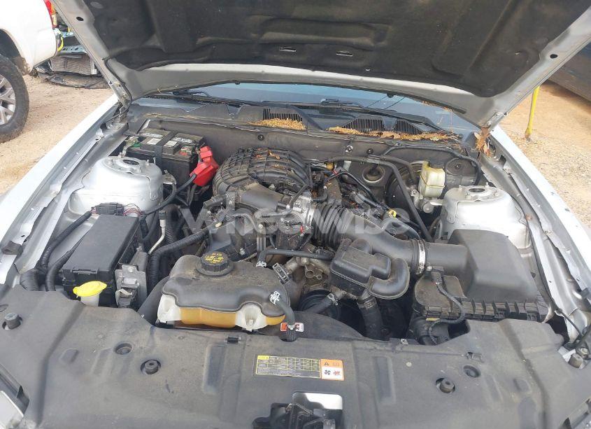 Photo 10 of 2014 Ford Mustang V6 PREMIUM (VIN 1ZVBP8AM4E5302273)