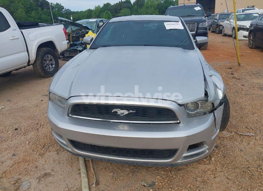 Photo 12 of 2014 Ford Mustang V6 PREMIUM (VIN 1ZVBP8AM4E5302273)
