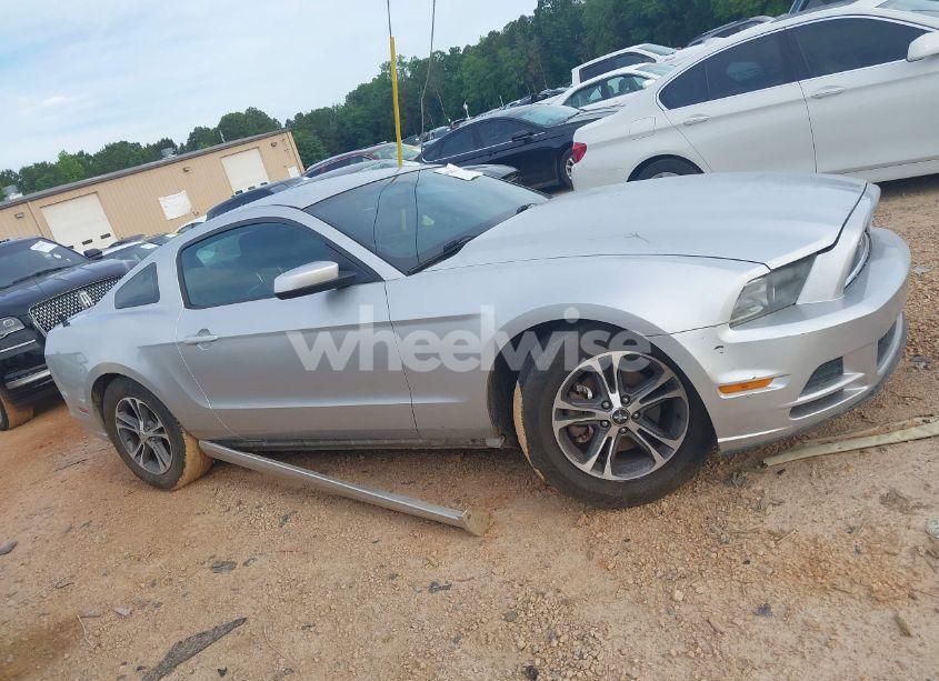 Photo 13 of 2014 Ford Mustang V6 PREMIUM (VIN 1ZVBP8AM4E5302273)