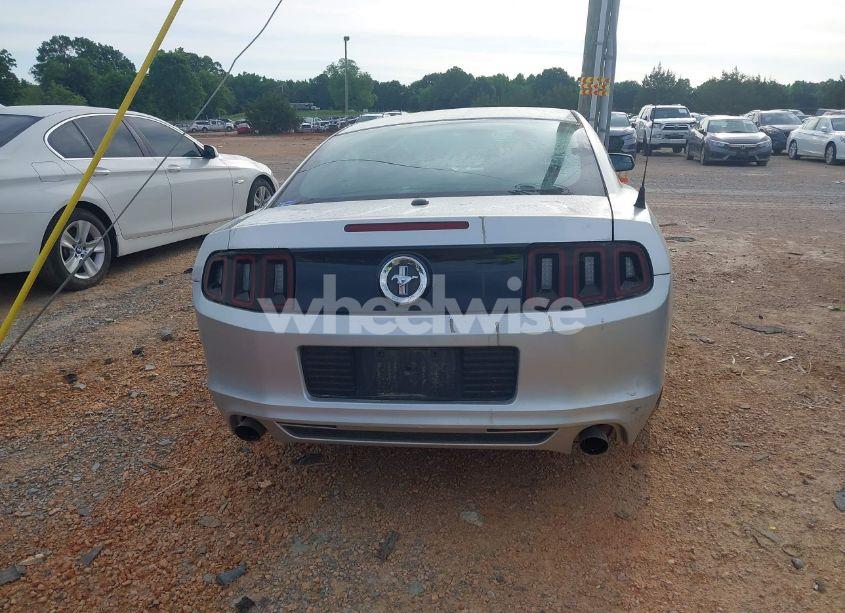 Photo 16 of 2014 Ford Mustang V6 PREMIUM (VIN 1ZVBP8AM4E5302273)