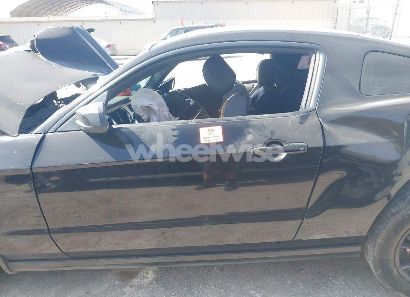 Photo 13 of 2014 Ford Mustang V6 PREMIUM (VIN 1ZVBP8AM4E5304802)