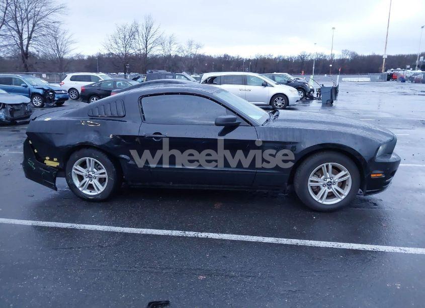 Photo 13 of 2014 Ford Mustang V6 (VIN 1ZVBP8AM4E5314617)
