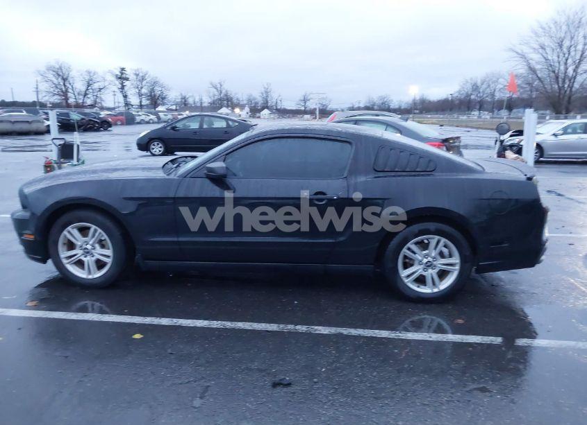 Photo 14 of 2014 Ford Mustang V6 (VIN 1ZVBP8AM4E5314617)