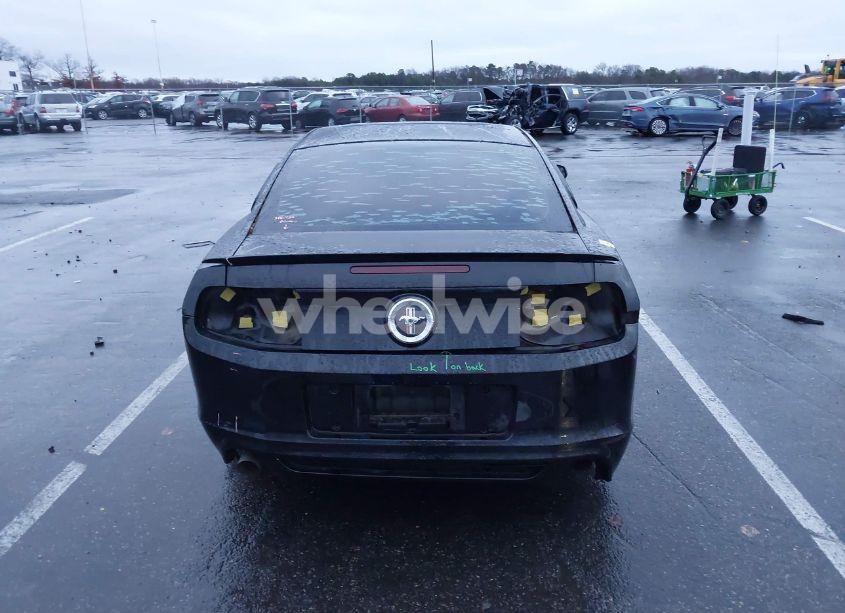 Photo 16 of 2014 Ford Mustang V6 (VIN 1ZVBP8AM4E5314617)