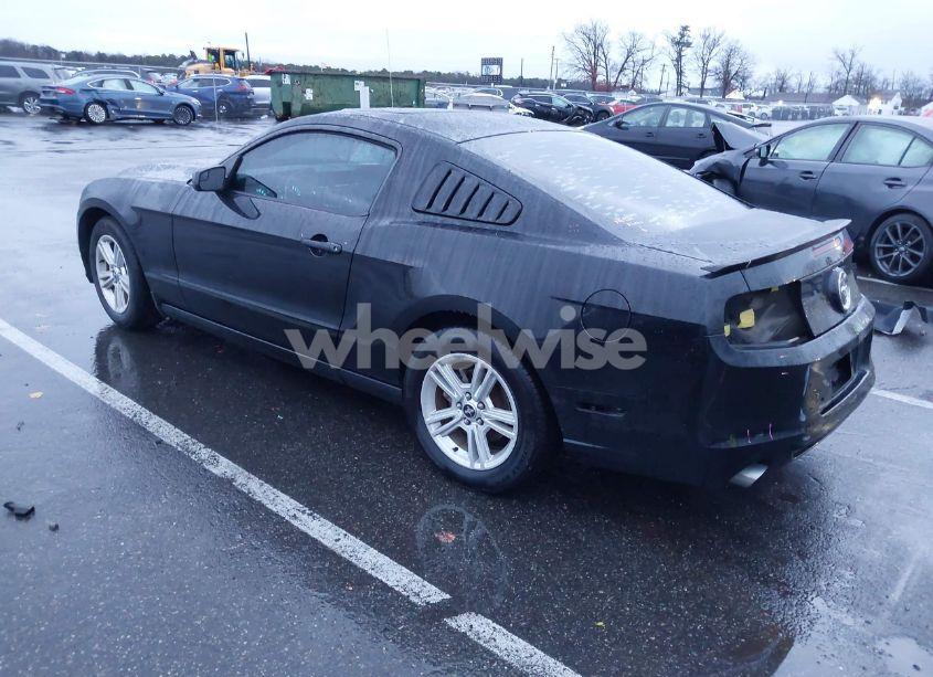 Photo 3 of 2014 Ford Mustang V6 (VIN 1ZVBP8AM4E5314617)