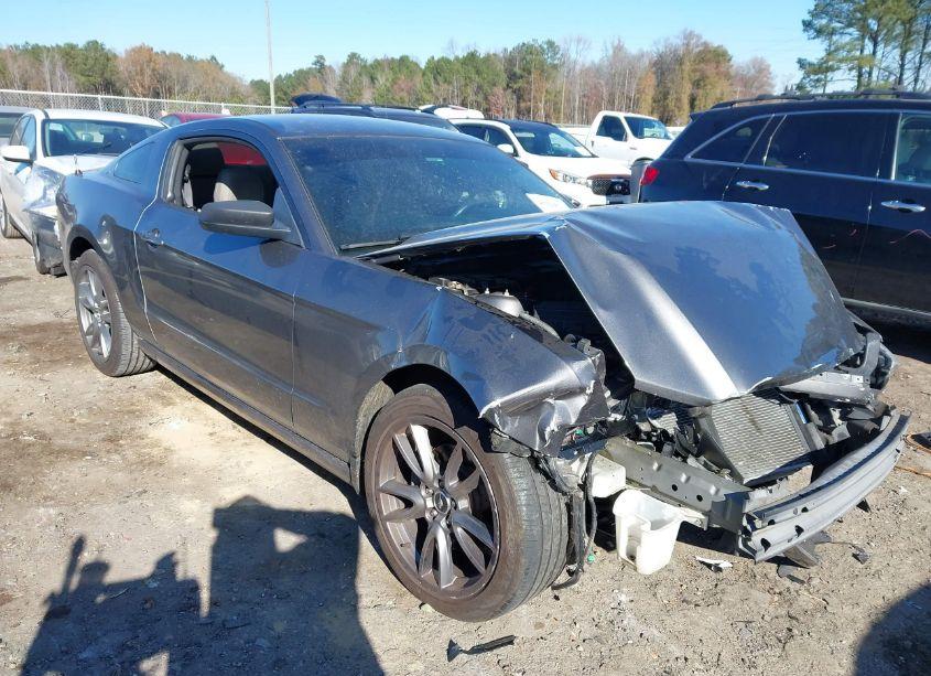 2014 Ford Mustang V6 (VIN 1ZVBP8AM4E5318845) main photo
