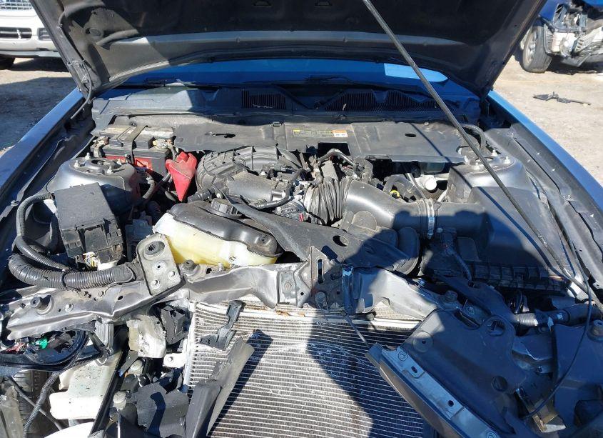 Photo 10 of 2014 Ford Mustang V6 (VIN 1ZVBP8AM4E5318845)