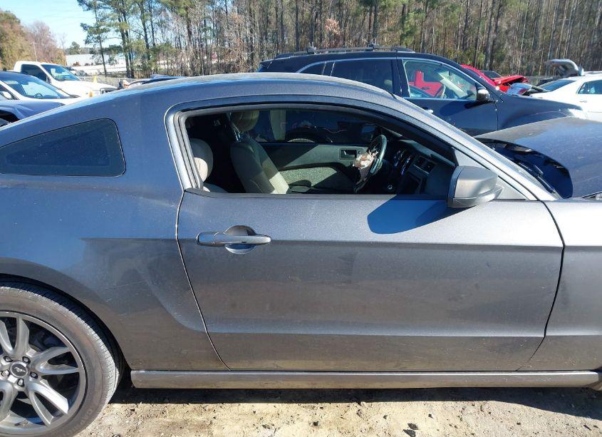 Photo 14 of 2014 Ford Mustang V6 (VIN 1ZVBP8AM4E5318845)