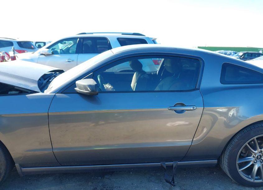 Photo 15 of 2014 Ford Mustang V6 (VIN 1ZVBP8AM4E5318845)