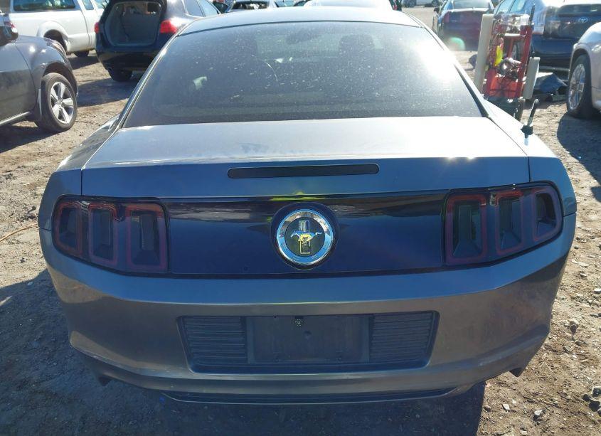 Photo 17 of 2014 Ford Mustang V6 (VIN 1ZVBP8AM4E5318845)