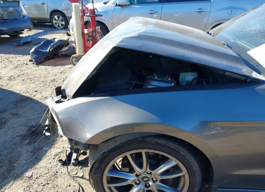 Photo 22 of 2014 Ford Mustang V6 (VIN 1ZVBP8AM4E5318845)