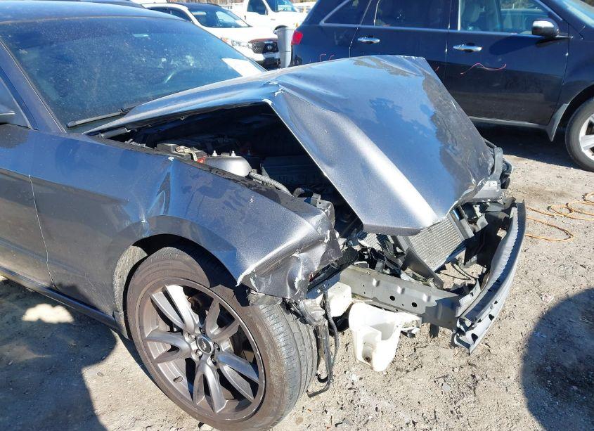 Photo 6 of 2014 Ford Mustang V6 (VIN 1ZVBP8AM4E5318845)