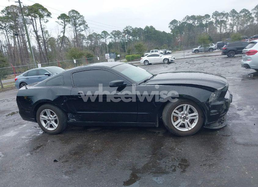 Photo 14 of 2014 Ford Mustang V6 (VIN 1ZVBP8AM4E5329005)