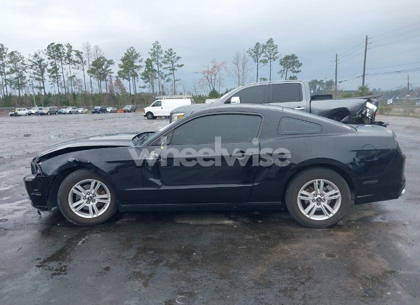 Photo 15 of 2014 Ford Mustang V6 (VIN 1ZVBP8AM4E5329005)