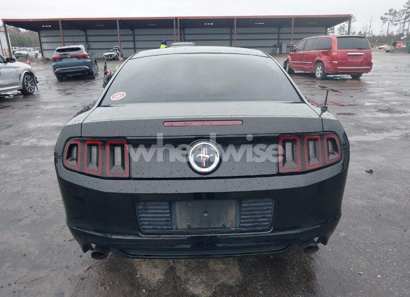 Photo 17 of 2014 Ford Mustang V6 (VIN 1ZVBP8AM4E5329005)
